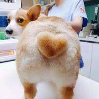 海底捞88折会员 优惠券 抵用券不限时间段全国