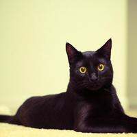 眼看她起高楼 - 路口网