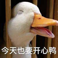 猫狗大战生日全集表情包快乐字大的带图片图片