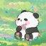 中华小熊猫