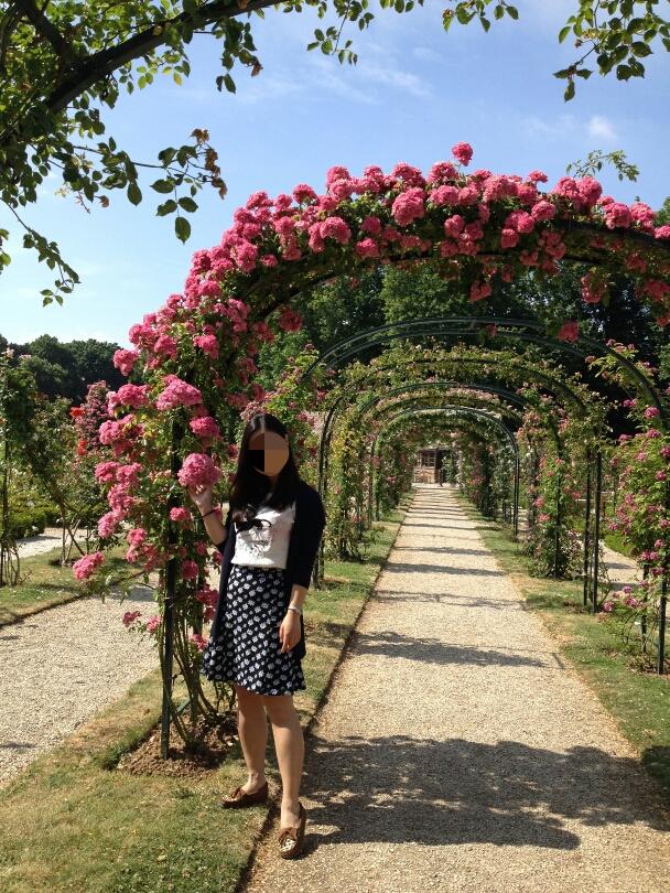 巴黎还没有太冷,玫瑰花园里美得一塌糊涂.