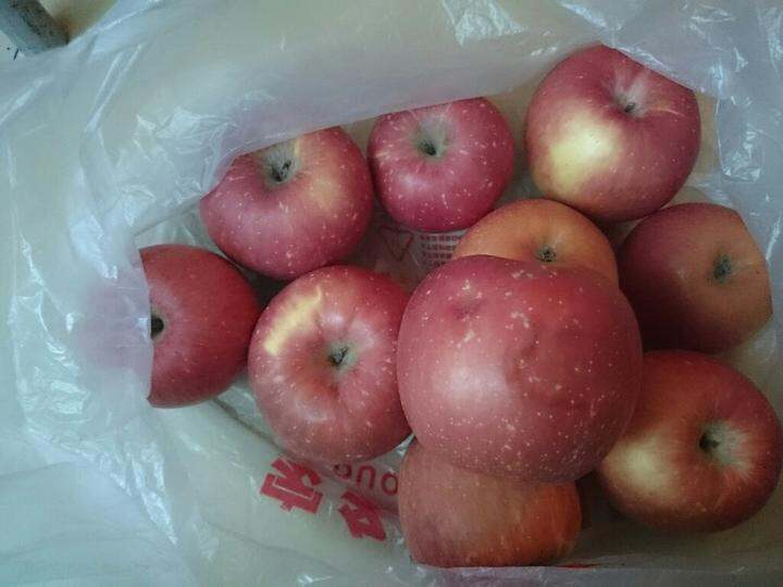 19.9苹果10斤