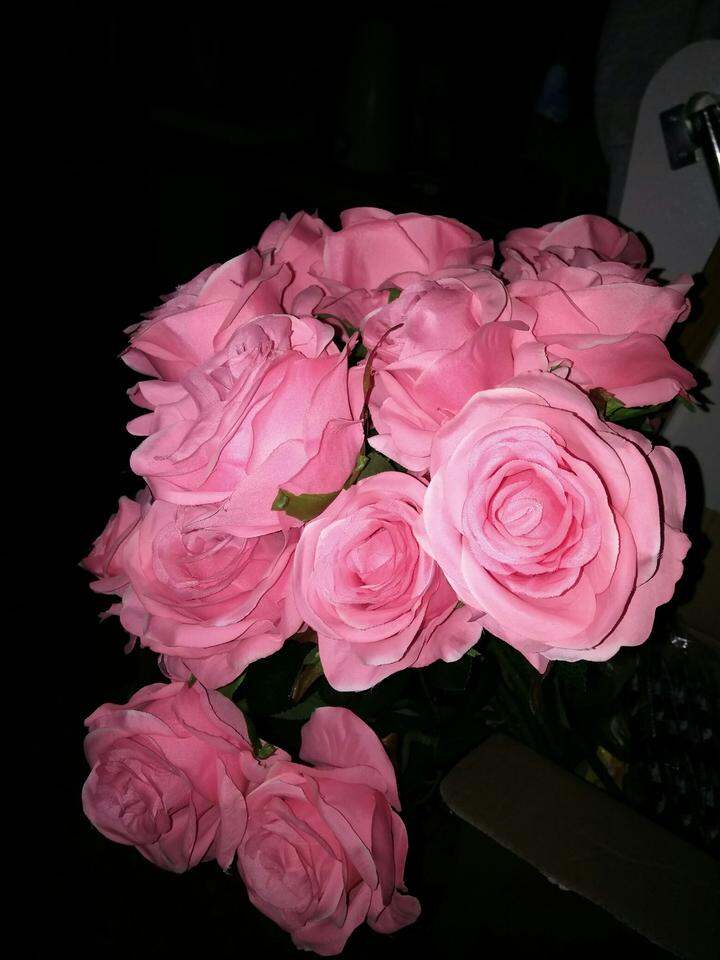超美的玫瑰花