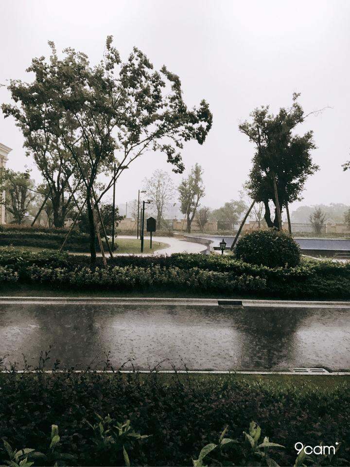 天天下雨