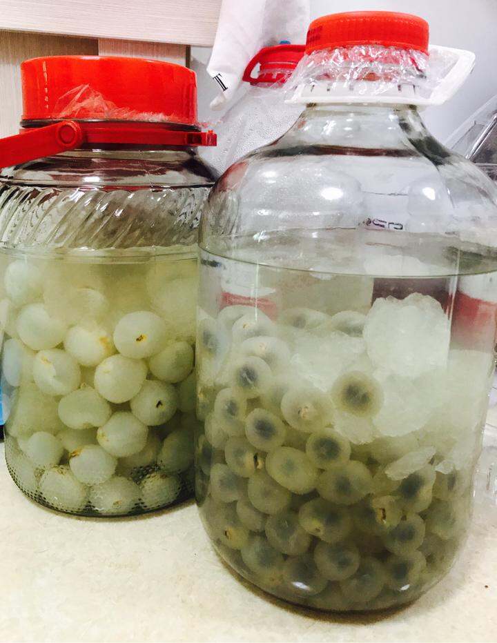这是未来的食物,手酿荔枝酒和龙眼酒