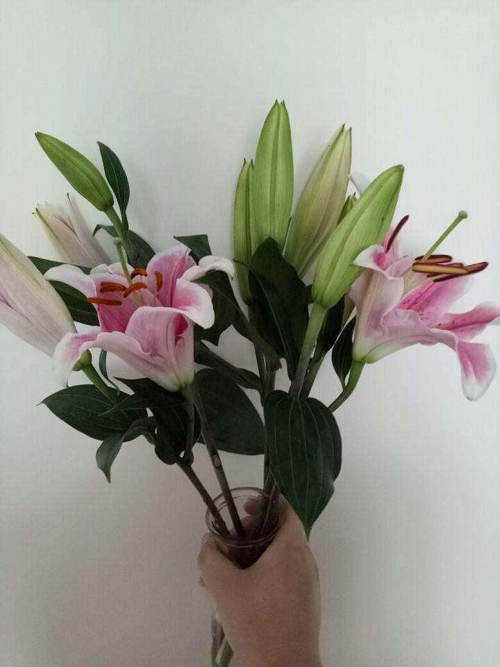 flower plus百合花9.9包邮