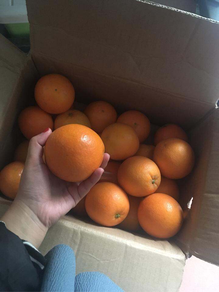 吃橙子的季节,有点心酸