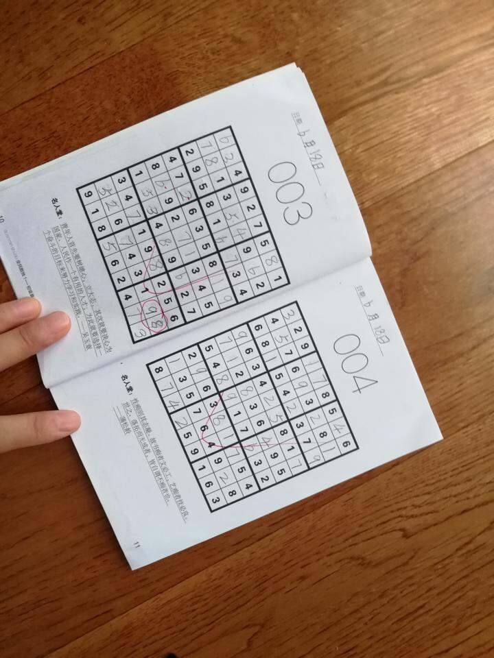 适合孩子的九宫格数独游戏