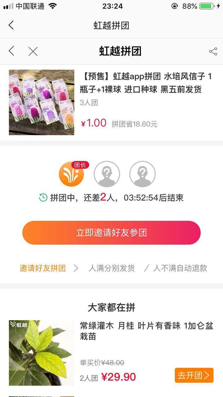 虹越app拼团1元,1风信子+1瓶子