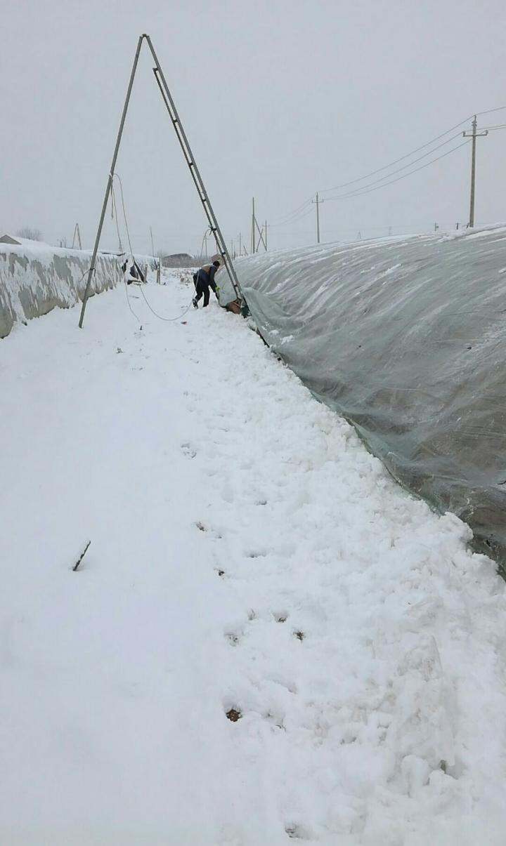 不喜欢下雪天