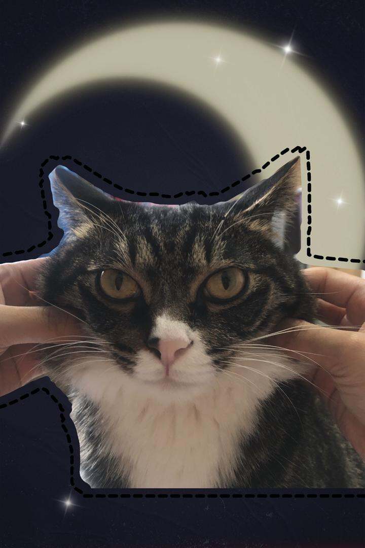 幺七脸上的肉能揪起来这么多哈哈哈
