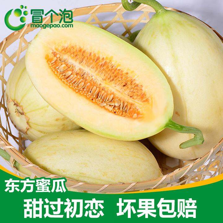 冒个泡 台州东方蜜甜瓜新鲜水果白皮甜瓜香瓜非哈密瓜当季批发5斤