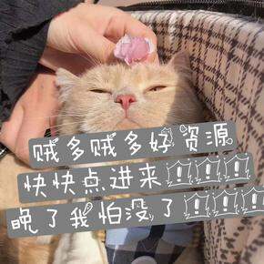 专辑💽整合各种Vip破解版以及电子手帐资源的合集(修图/视频/学习/普通话等等)