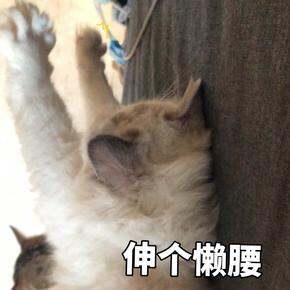 那些年,我买过的三福内裤们