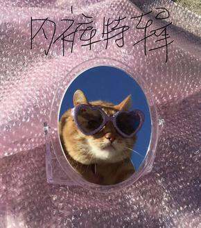 积攒已久的内裤特辑