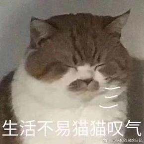 第二季度购物整理(种草向)