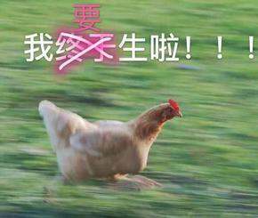 卸货倒计时50天 推荐一波孕期好物
