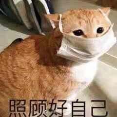 近一年的满意单品(衣食住行均有)