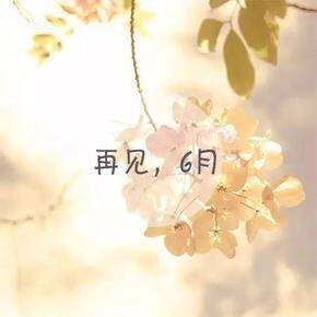 【6月购物复盘 】本专辑都是满意百分百