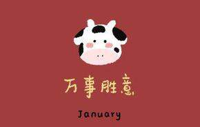 2021年1月购物总汇