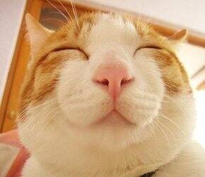 签到红包买什么！