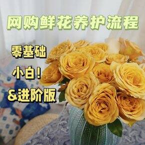 鲜花养护指南及工具~