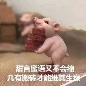 十月购物分享 是总在退货的一个月