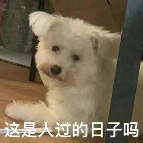 老公打呼50分贝+,我用过的那些耳塞们