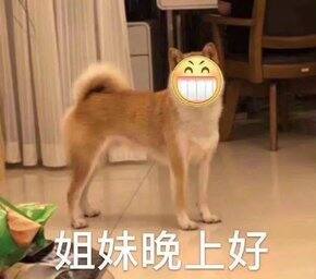 近期的瞎购总结
