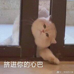 2022上半年购物总结-拼多多专场2