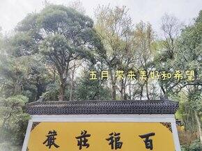 【五月新势力周】平价商品也能给生活带来幸福感