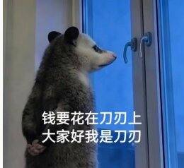 2025年2月到2026年7月买买买记录