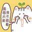 阿狸与小小云在夏天