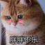 买精品少买破烂