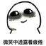 奋斗成为瘦子曦
