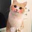 你要吃浪味仙吗