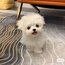 不愿透露姓名的小H