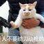 醒醒鹿耳朵