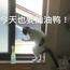 三重sanchong