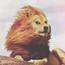偏执狂lion