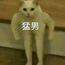 一只咩子