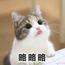 当冬夜渐冷