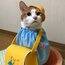 藕夹猫猫猫