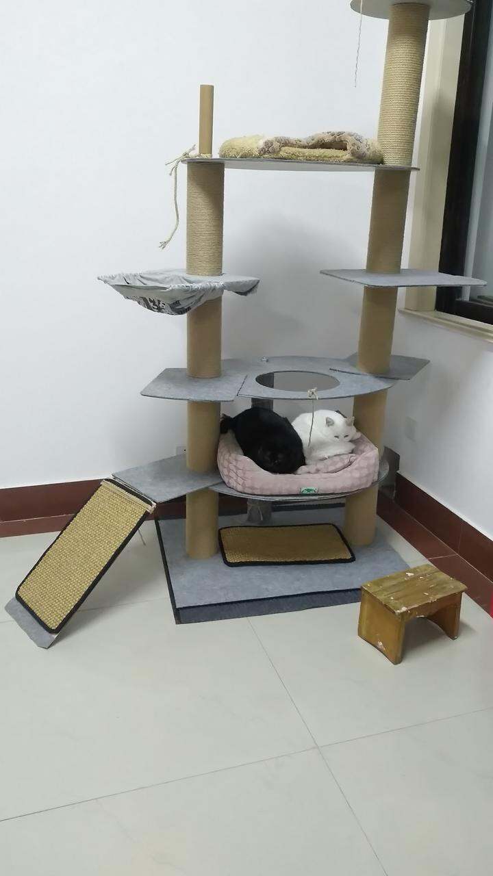 纸板自制猫爬架图片