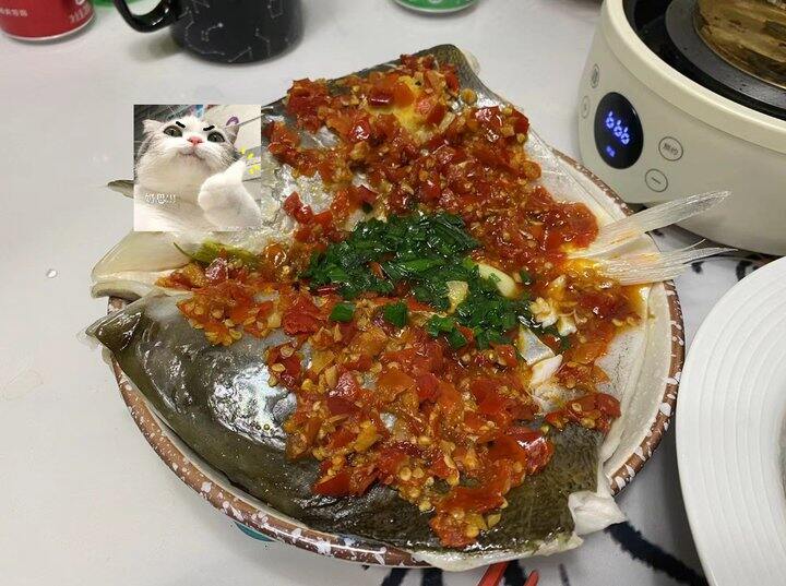 鱼头晒单
