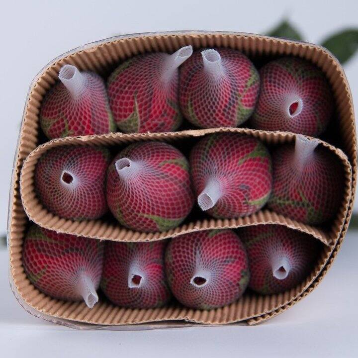 送给自己的女神节礼物🎁十朵玫瑰13.8元