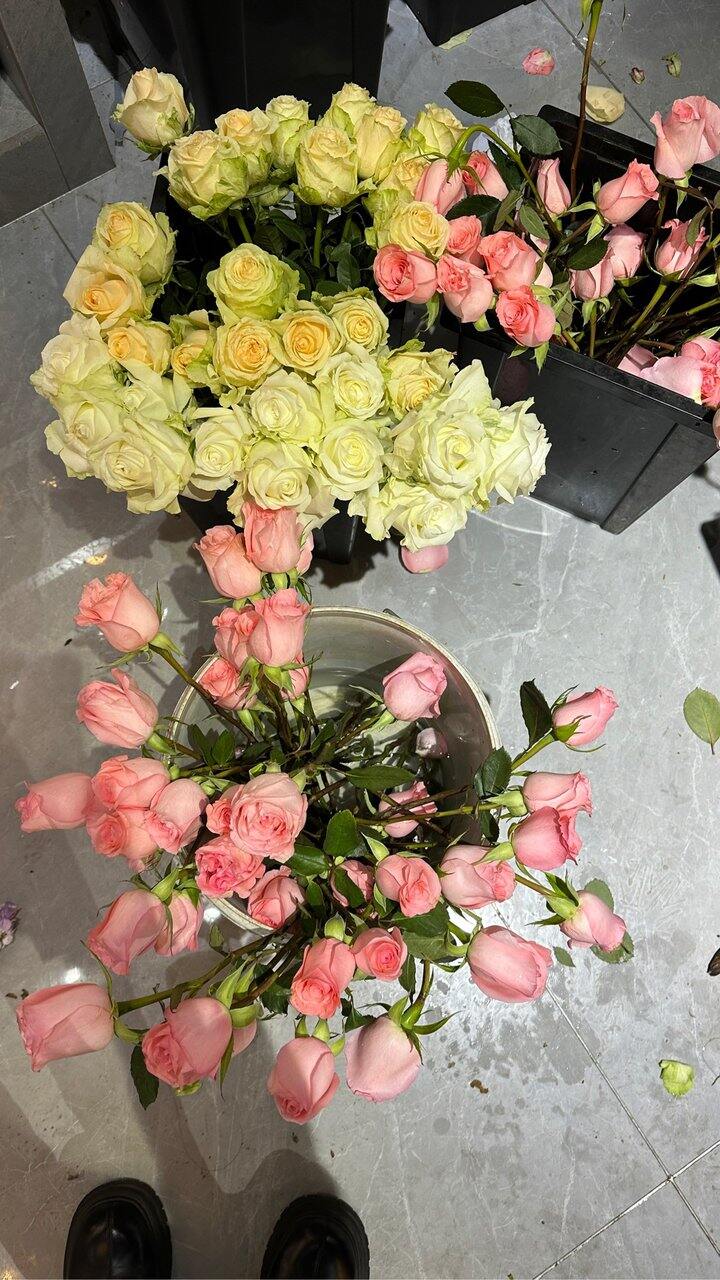 月底打算去重庆吃吃喝