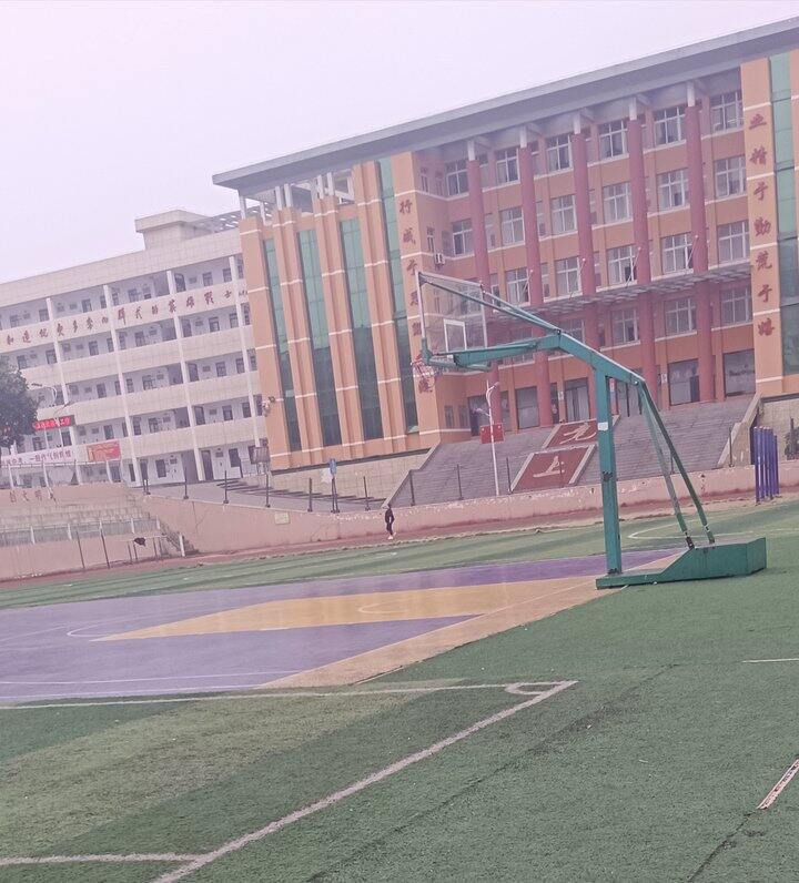 运动打卡第四天