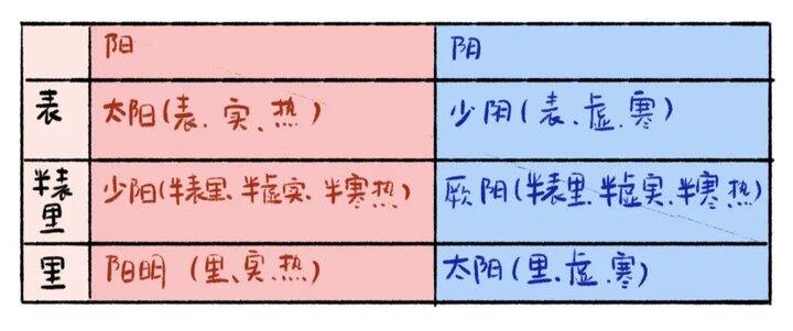 中医——家庭中成药使用指南（下）