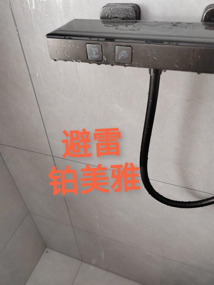 避雷铂美雅